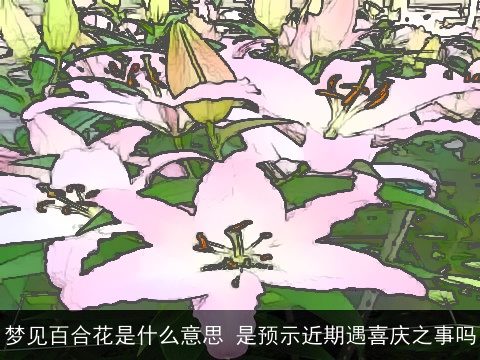 梦见百合花是什么意思 是预示近期遇喜庆之事吗