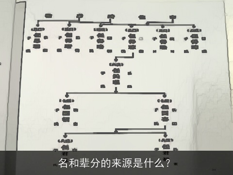 名和辈分的来源是什么？