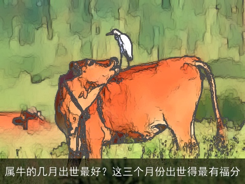属牛的几月出世最好？这三个月份出世得最有福分