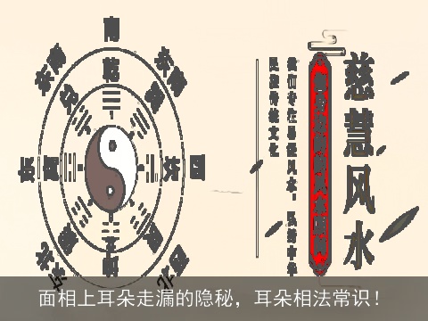 面相上耳朵走漏的隐秘，耳朵相法常识！
