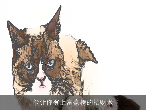 能让你登上富豪榜的招财术