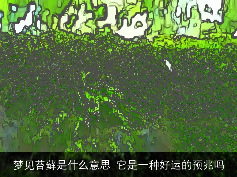 梦见苔藓是什么意思 它是一种好运的预兆吗