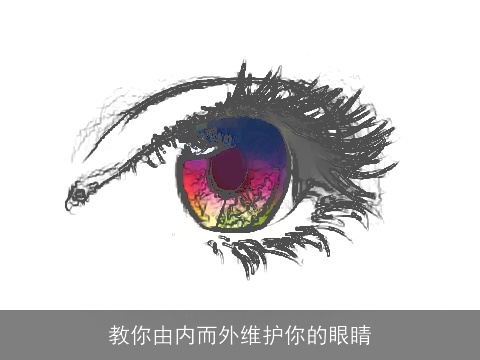 教你由内而外维护你的眼睛