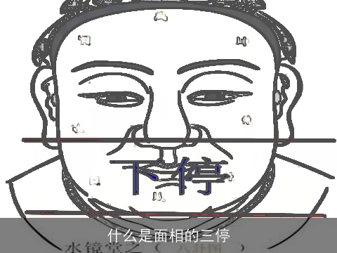 什么是面相的三停