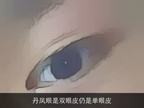 丹凤眼是双眼皮仍是单眼皮