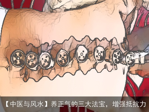 【中医与风水】养正气的三大法宝，增强抵抗力
