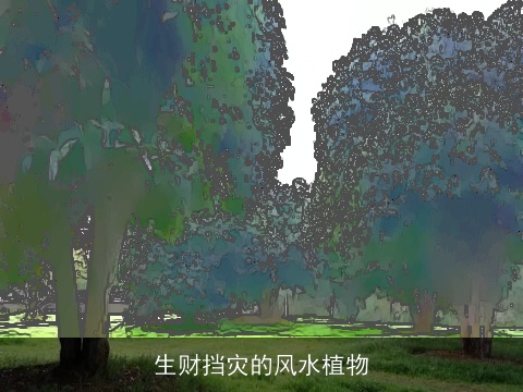 生财挡灾的风水植物