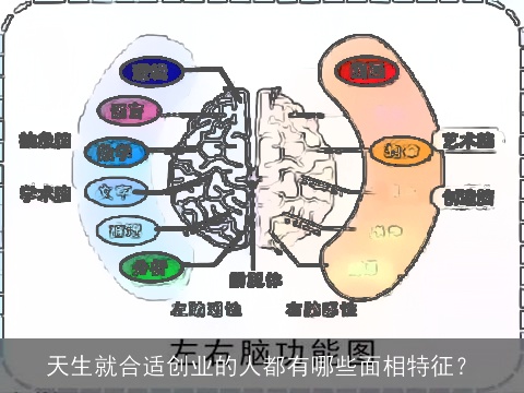 天生就合适创业的人都有哪些面相特征？