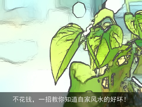 不花钱，一招教你知道自家风水的好坏！