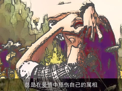 总是在爱情中损伤自己的属相