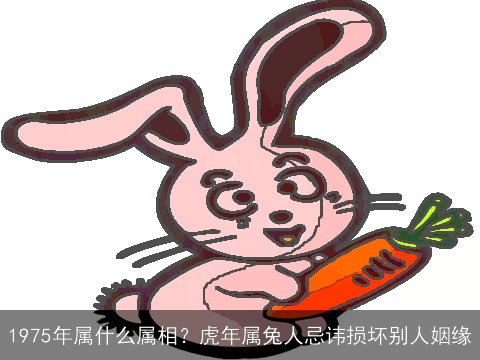 1975年属什么属相？虎年属兔人忌讳损坏别人姻缘