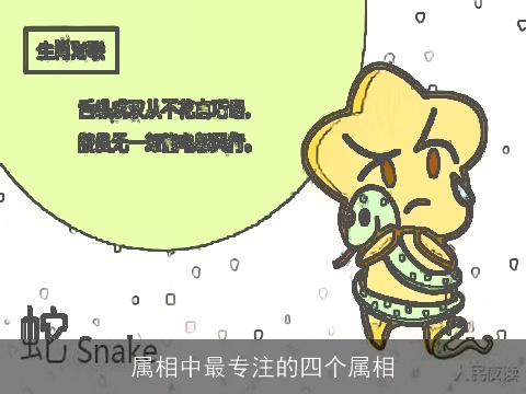 属相中最专注的四个属相