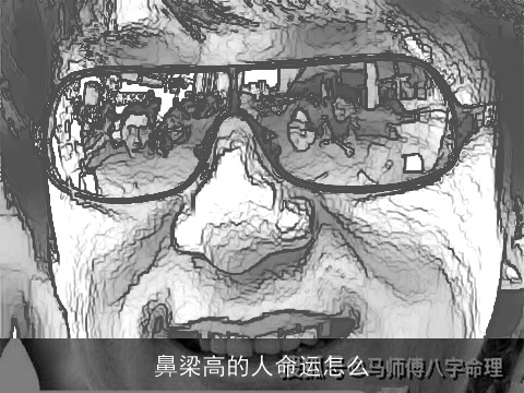 鼻梁高的人命运怎么