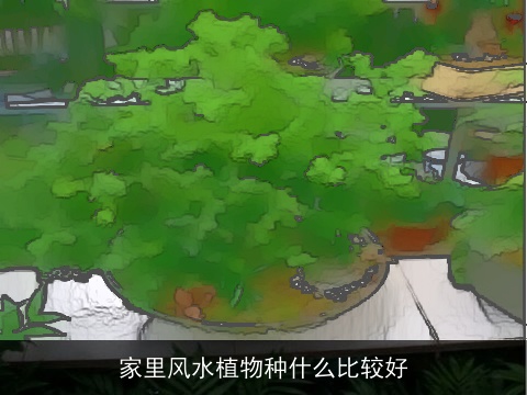 家里风水植物种什么比较好