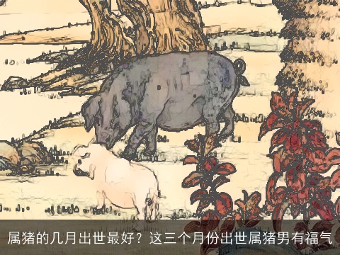 属猪的几月出世最好？这三个月份出世属猪男有福气