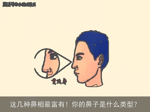 这几种鼻相最富有！你的鼻子是什么类型？