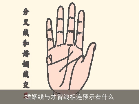 婚姻线与才智线相连预示着什么
