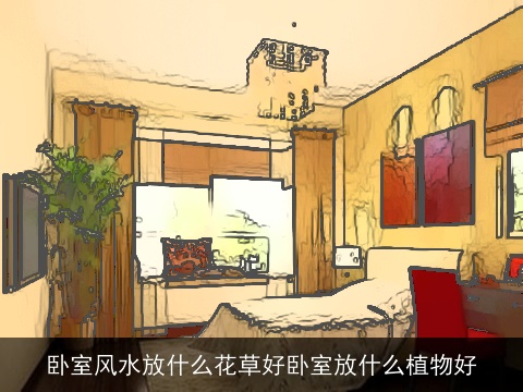 卧室风水放什么花草好卧室放什么植物好