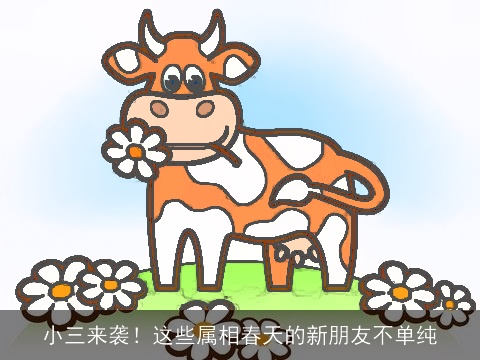 小三来袭！这些属相春天的新朋友不单纯