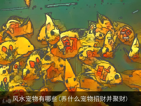风水宠物有哪些(养什么宠物招财并聚财)