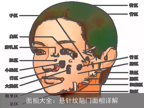 面相大全：悬针纹脑门面相详解