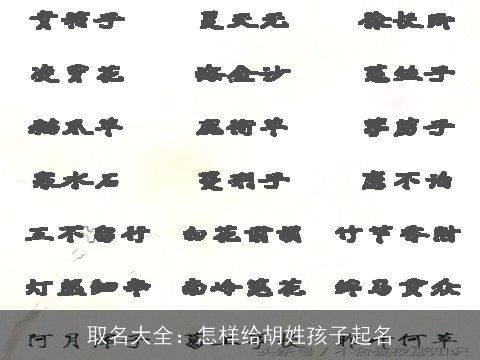 取名大全：怎样给胡姓孩子起名