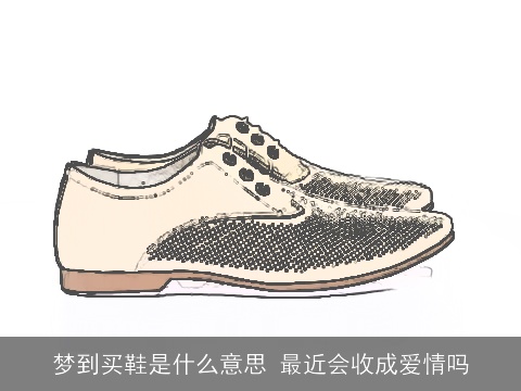 梦到买鞋是什么意思 最近会收成爱情吗