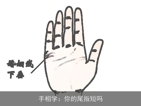 手相学：你的尾指短吗