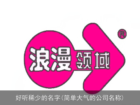 好听稀少的名字(简单大气的公司名称)