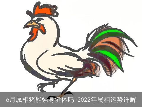 6月属相猪能强身健体吗 2022年属相运势详解