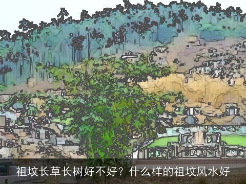 祖坟长草长树好不好？什么样的祖坟风水好