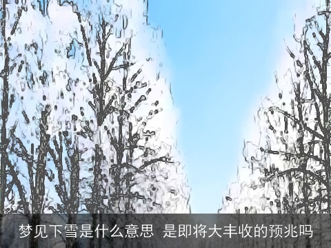 梦见下雪是什么意思 是即将大丰收的预兆吗