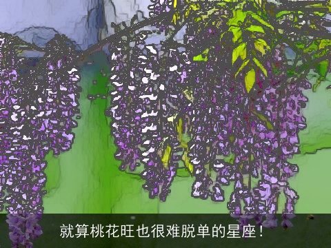 就算桃花旺也很难脱单的星座！