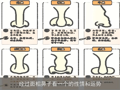 经过面相鼻子看一个的性情和运势