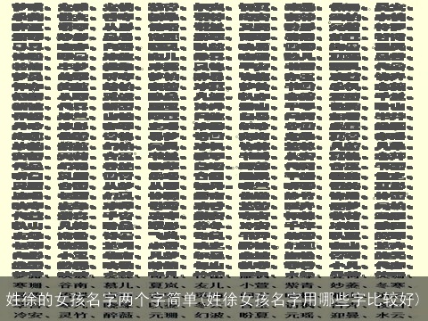 姓徐的女孩名字两个字简单(姓徐女孩名字用哪些字比较好)