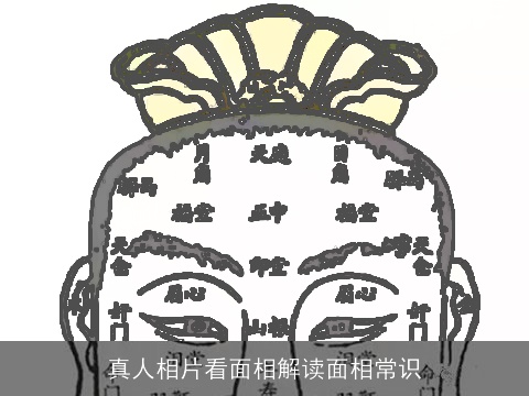 真人相片看面相解读面相常识