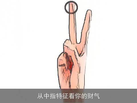 从中指特征看你的财气