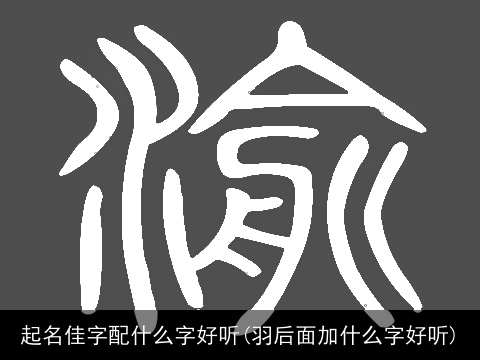 起名佳字配什么字好听(羽后面加什么字好听)