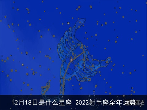 12月18日是什么星座 2022射手座全年运势