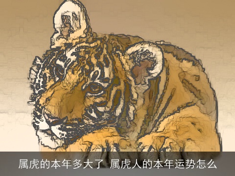 属虎的本年多大了 属虎人的本年运势怎么