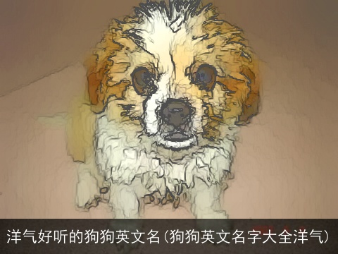 洋气好听的狗狗英文名(狗狗英文名字大全洋气)