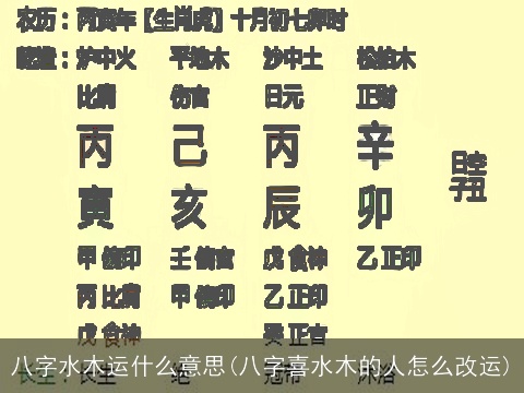 八字水木运什么意思(八字喜水木的人怎么改运)