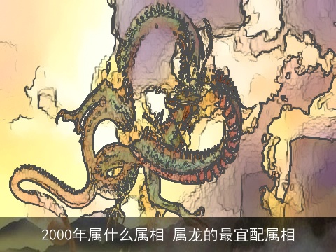 2000年属什么属相 属龙的最宜配属相
