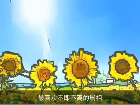 最喜欢不即不离的属相