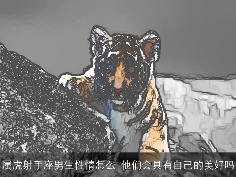 属虎射手座男生性情怎么 他们会具有自己的美好吗
