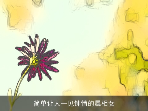 简单让人一见钟情的属相女