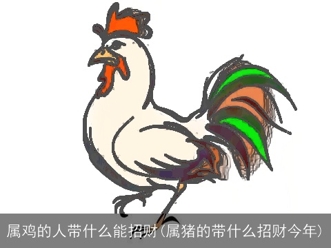 属鸡的人带什么能招财(属猪的带什么招财今年)