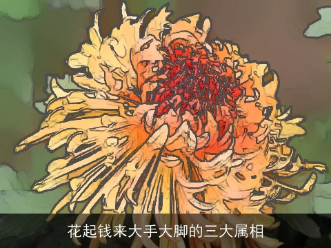 花起钱来大手大脚的三大属相