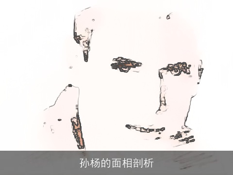 孙杨的面相剖析