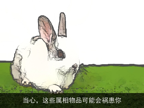 当心，这些属相物品可能会祸患你